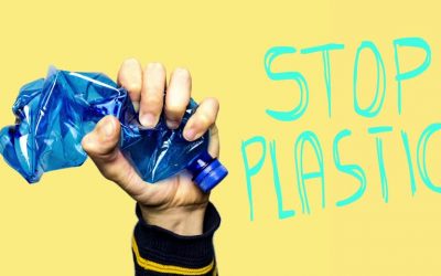 Renunță la apa îmbuteliată. Plasticul dăunează sănătății tale și a mediului