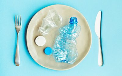 Cât plastic ingerăm de-a lungul vieții