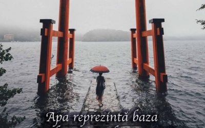 În căutarea perfecțiunii: Cultura japoneză și reputația produselor sale de înaltă calitate
